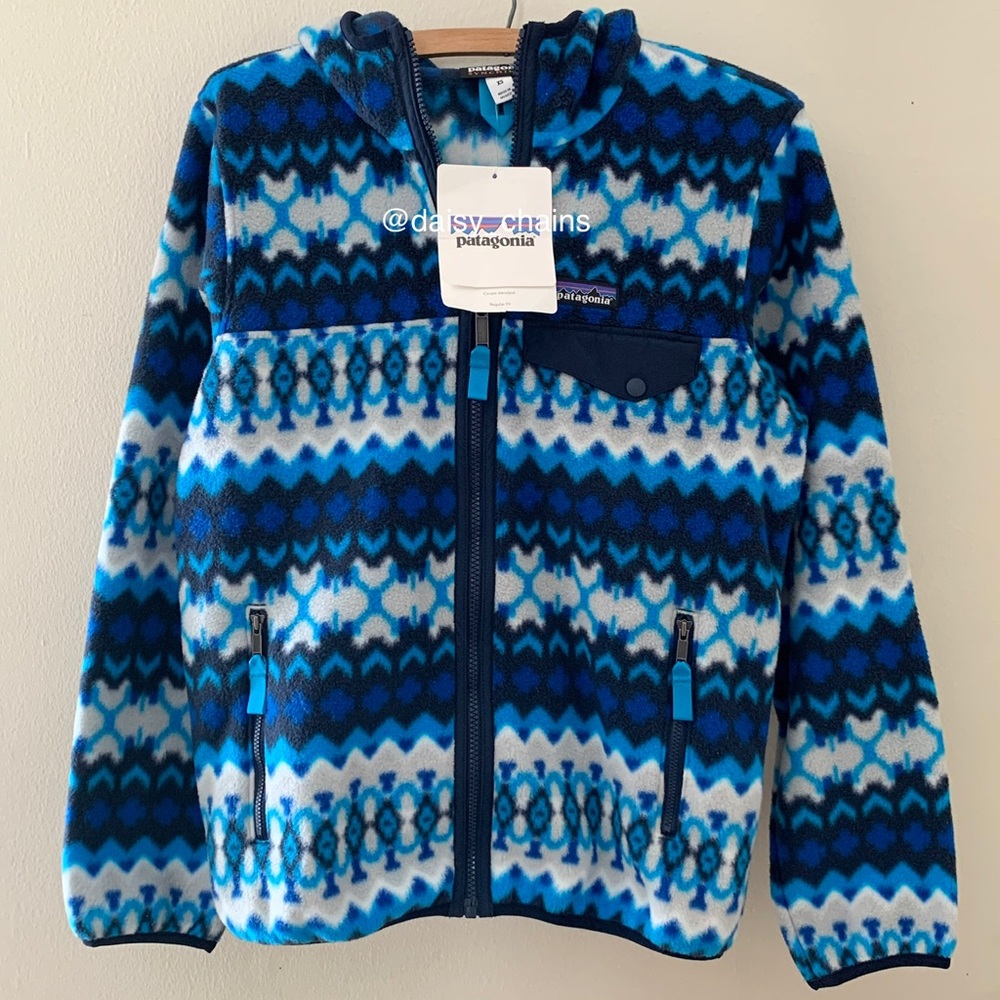 Patagonia Synchilla Hooded Fleece Zip Up